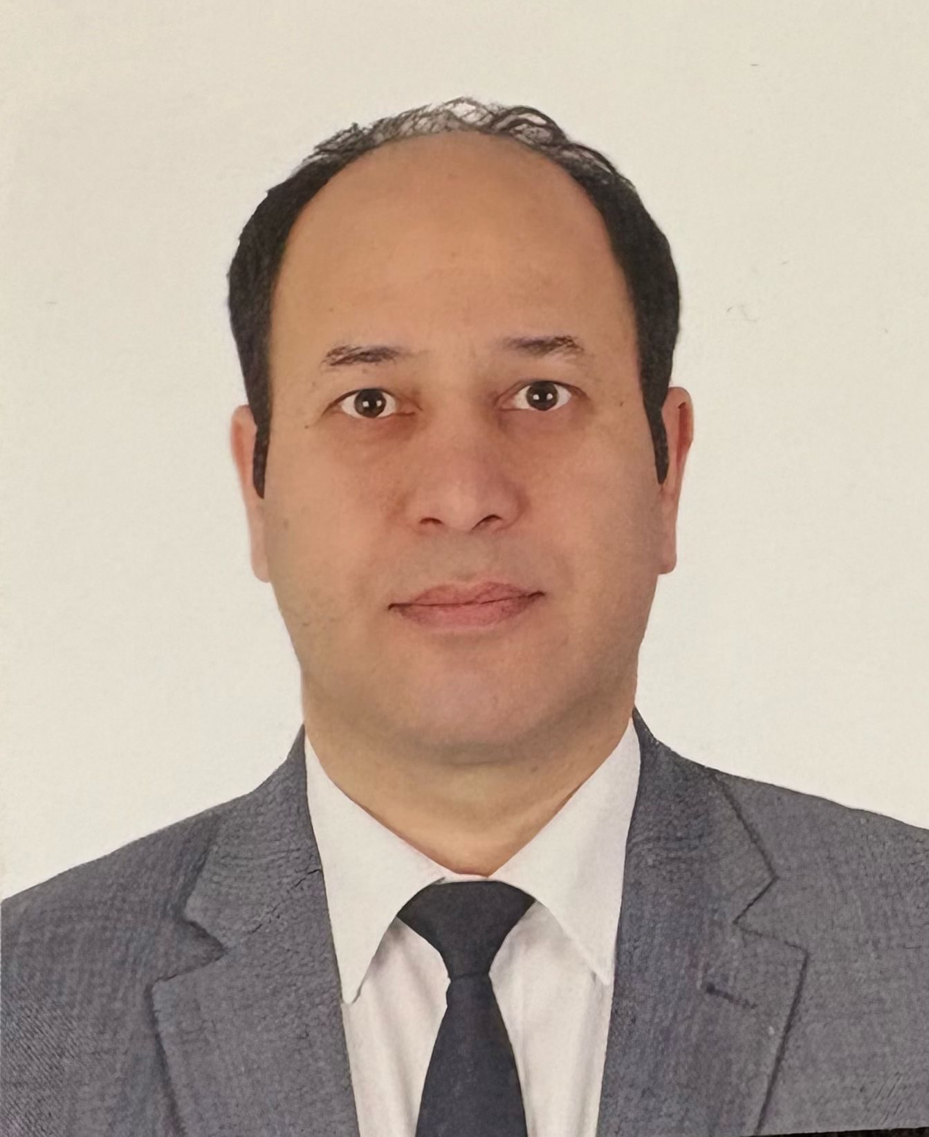 Mühasip Üye